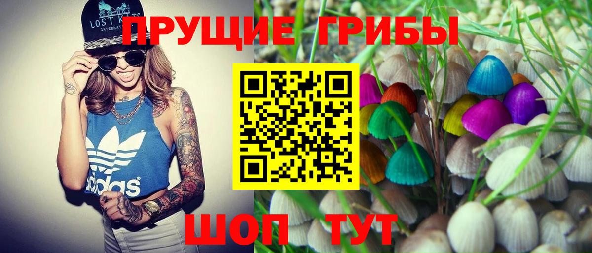 Нижний Новгород  Псилоцибиновые грибы Psilocybine cubensis  Вход с VPN 